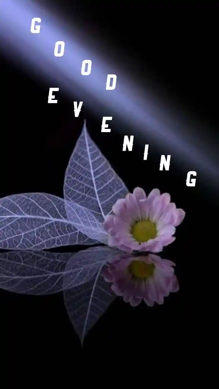 good-evening-images-for-whatsapp