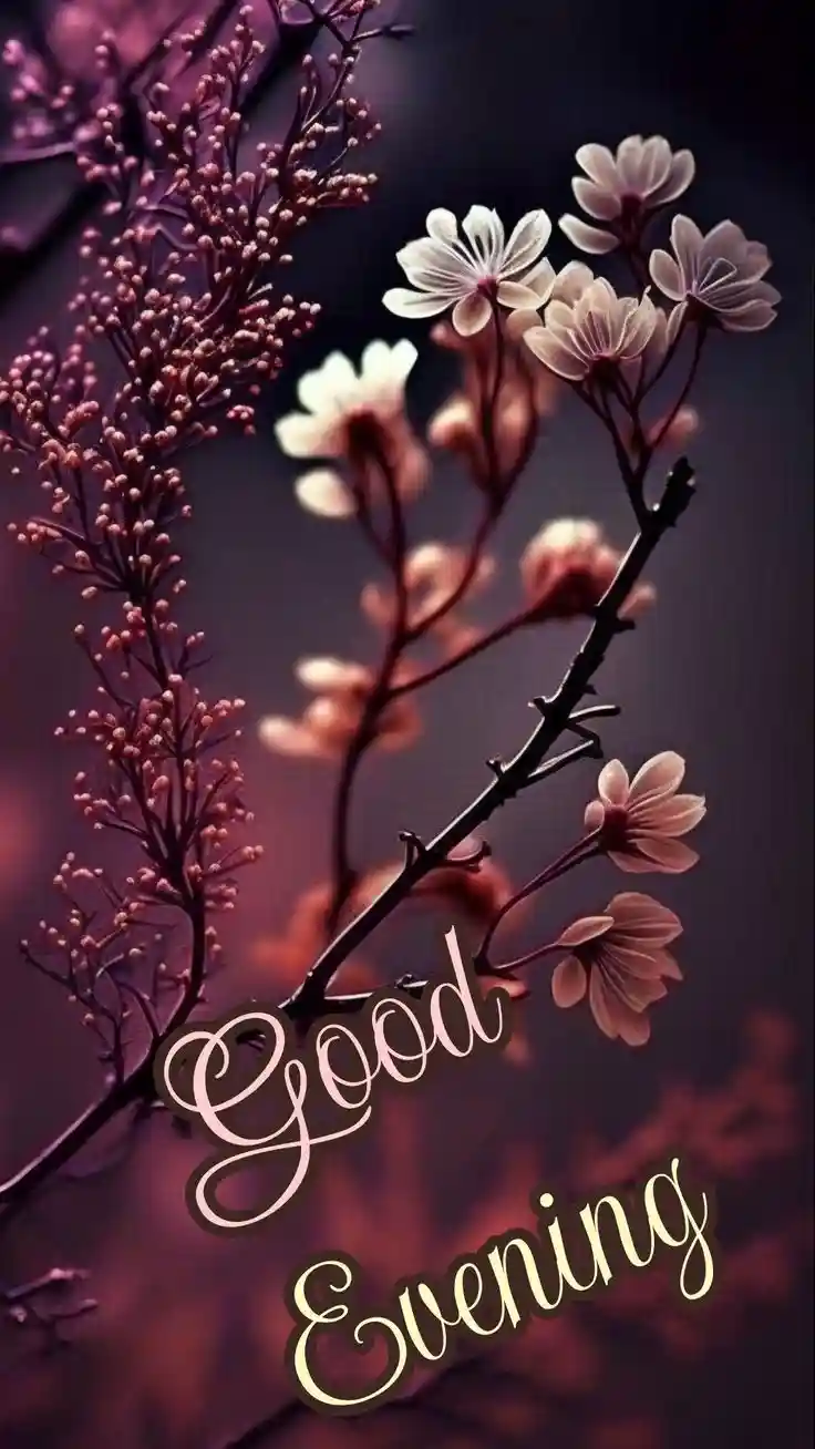 good-evening-images-for-whatsapp