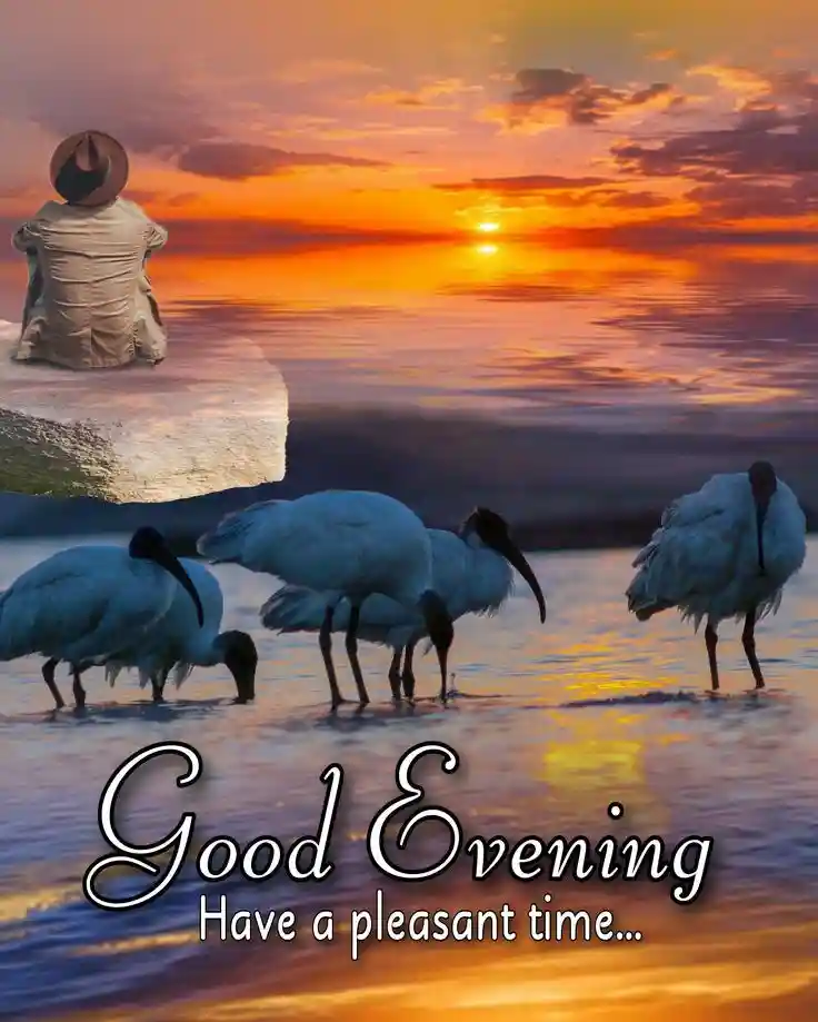 kiss-romantic-good-evening-images