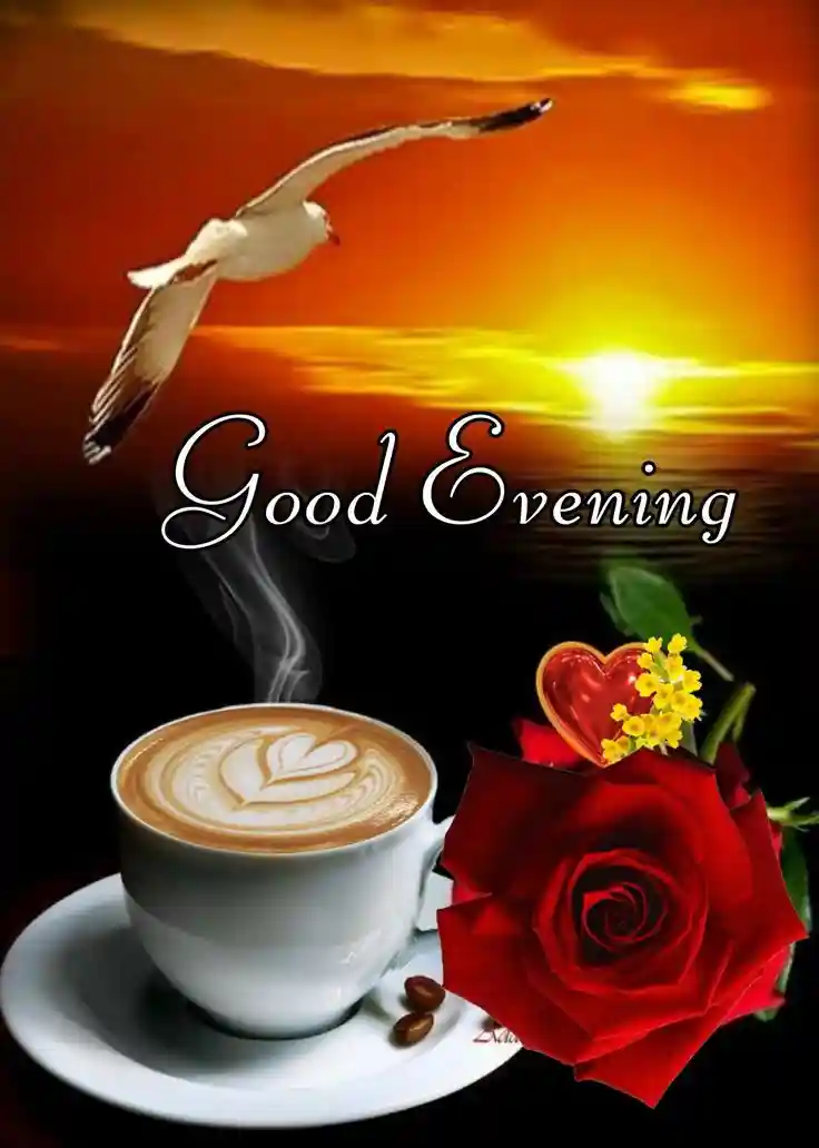 new-good-evening-images